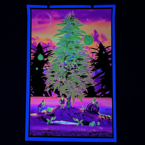 Weed gnomes blacklight - weed,